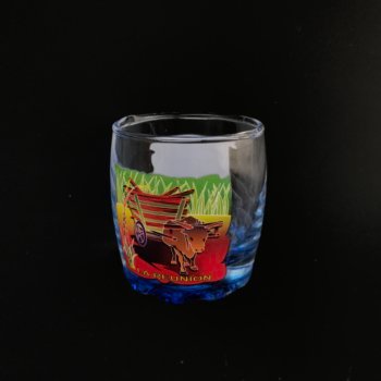 Colored Printed Shot Glasses